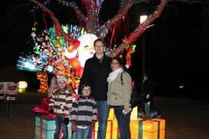 at Chinese light festival