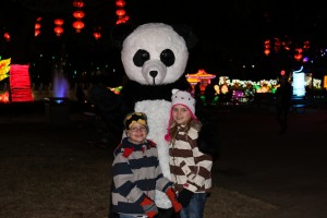 with panda